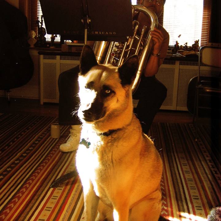 5e9c255d 33b3 40ae aabe 9d674528a2cc