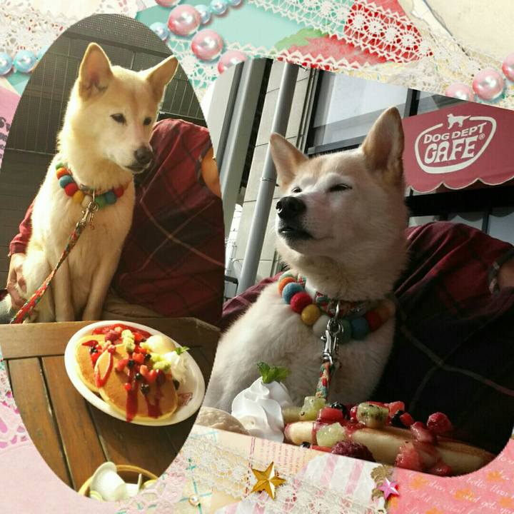 5e9c9b50 6ece 47af bab1 d8948652ea73