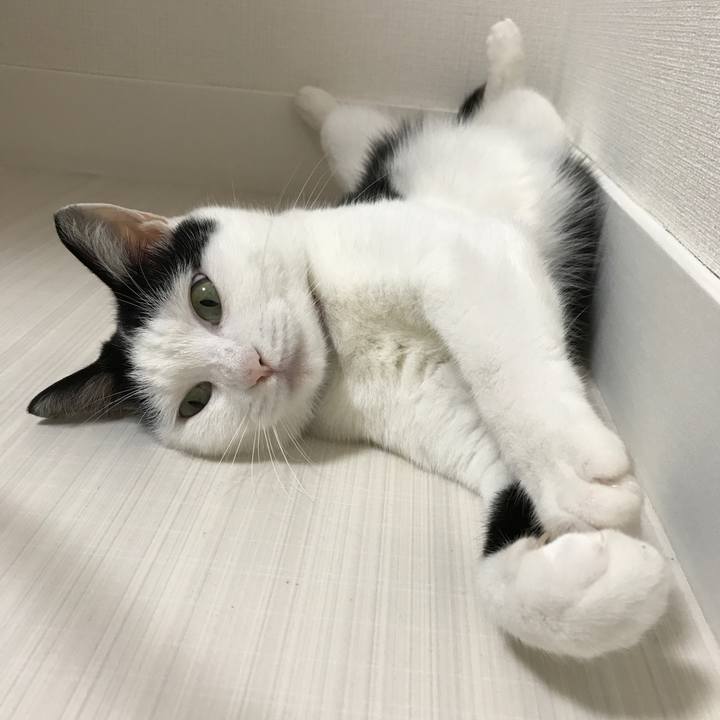 5e9ccdd2 d0f4 432c a889 e22d5d2baf46