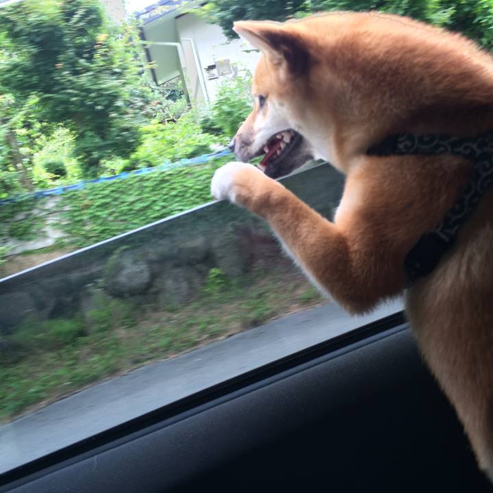 5e9da605 46d3 4ca1 b9f7 d6dc552d2e22