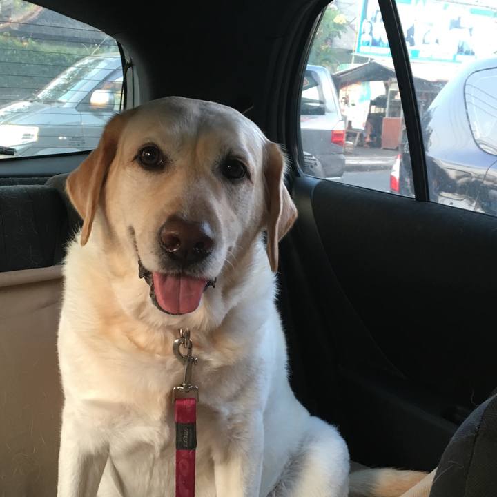 5e9e7f75 99ae 478b 8737 c45227aec024