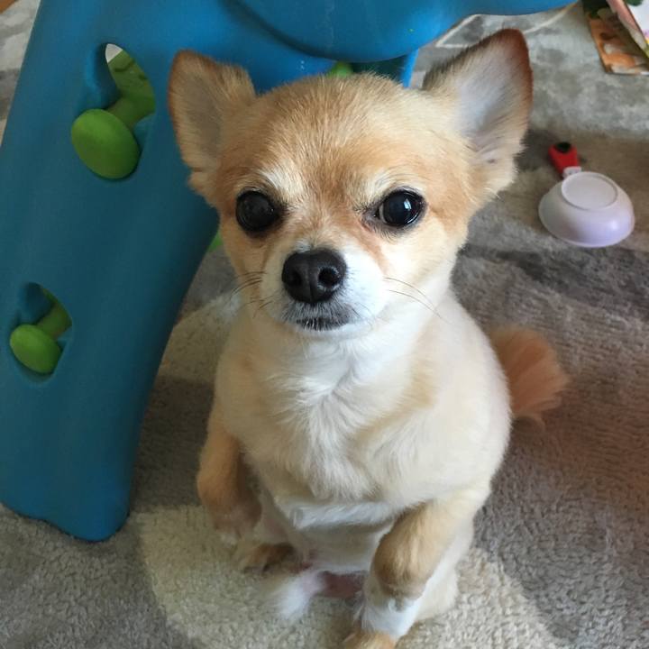 5e9fd084 d424 4217 ba7a 14116774a335