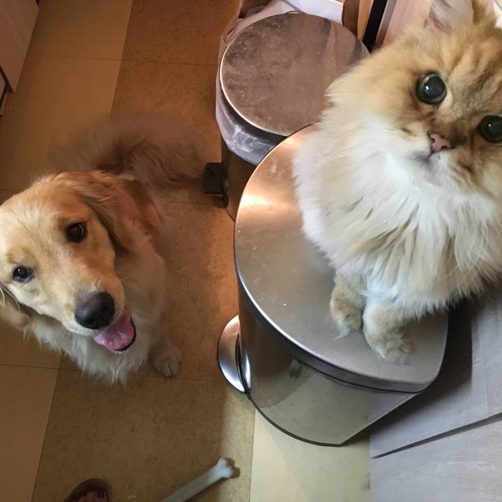 5e9fef70 5d4d 4f66 b972 11c3e2891d67