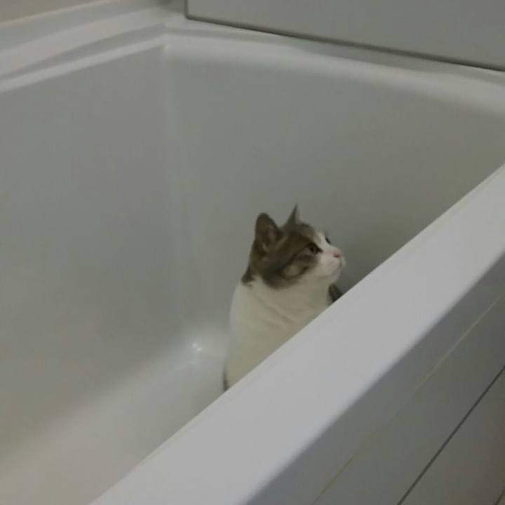 5ea03521 4efb 4a15 aaa3 019860295d56