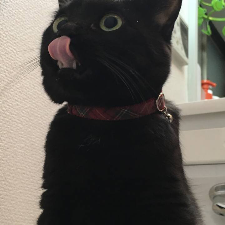 5ea062a5 3d16 47f1 9612 7fdd55f56fc6