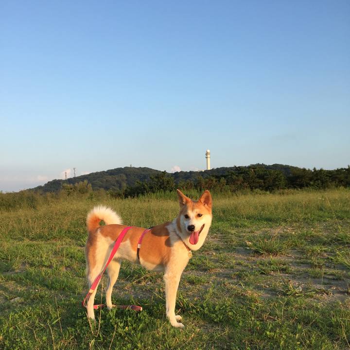 5ea066b8 3309 4ab2 8dfc 791166e0eeba