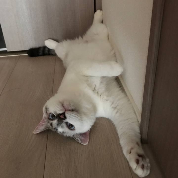 5ea0fbff e6d5 4bfa aea3 4ef3aa7d308e