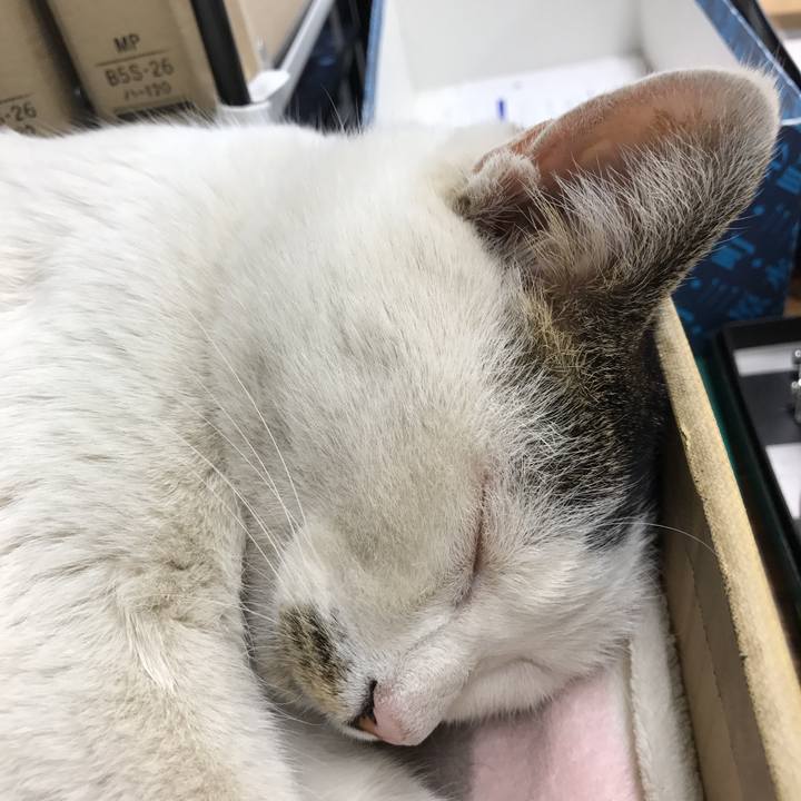 5ea15cfc 18ba 400e b381 07bcfb159459