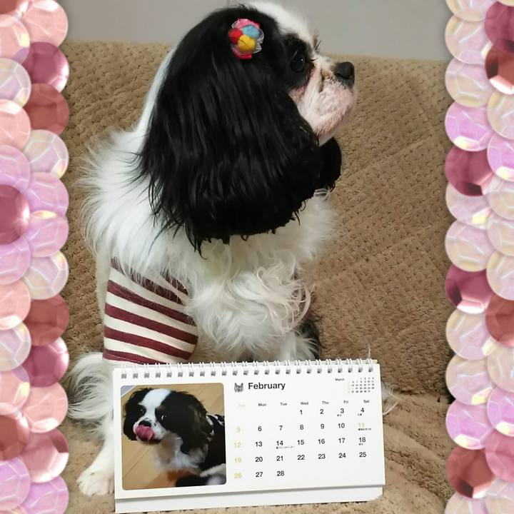 5ea1b7ef d260 4892 8fc4 ff2b30f3630b