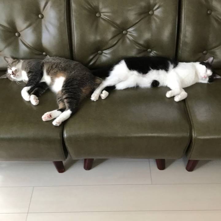 5ea1bb7f 561c 4816 a71a 0456e00ba309