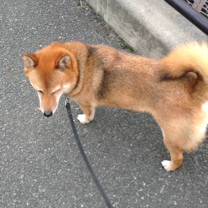 5ea204ff 4aae 4a05 a764 8f3123647abe