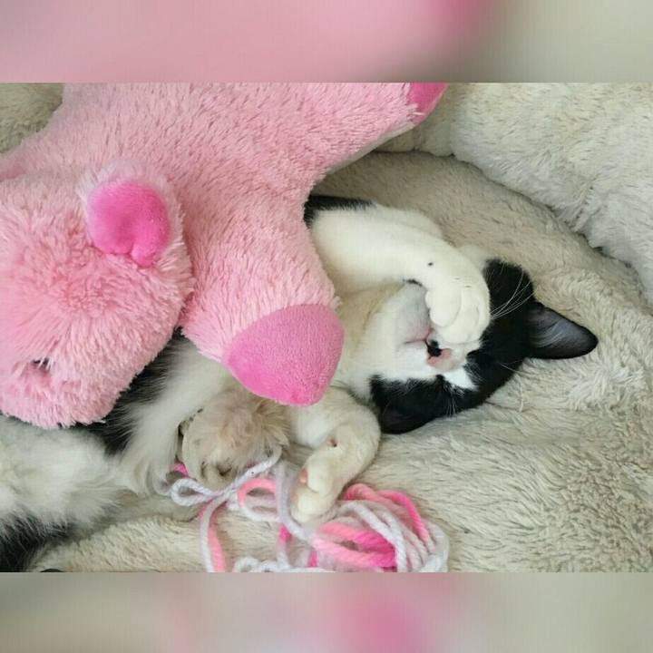 5ea22982 1c3b 43e6 b768 7b7ea5cac2da