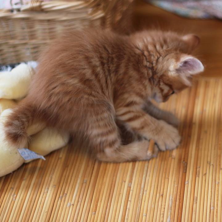 5ea2425d 5630 4225 ab06 08a4344f06d3