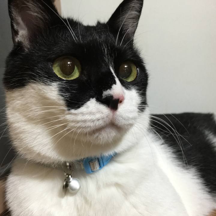 5ea25e44 ad32 4aef ab87 9bd85d1c2c95