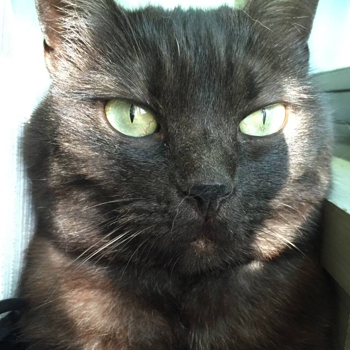 5ea27d4b 7841 41e5 843e 4c7a1a40da38