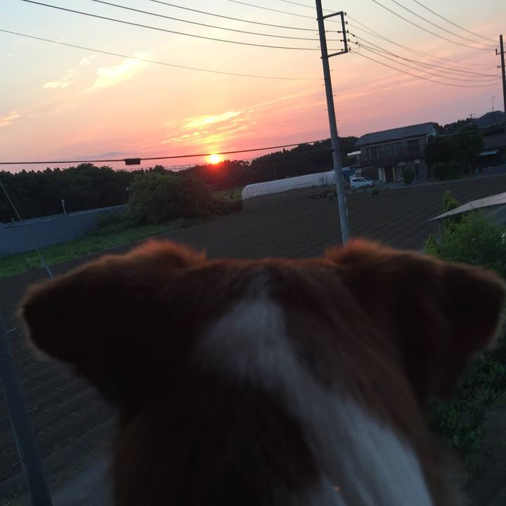 5ea28fa1 4618 41d9 ae75 75ae2bd251ca