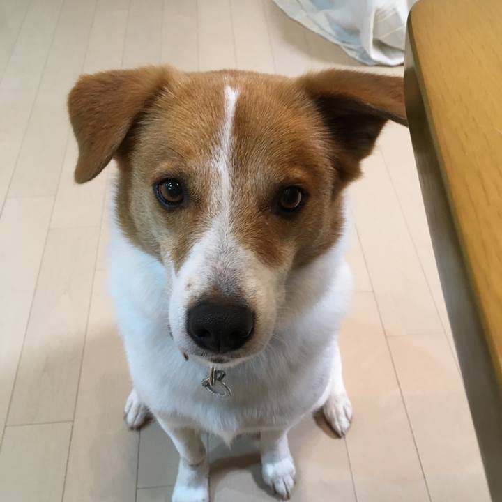 5ea2bad7 cabf 4f06 bea9 c7e42c0bc064