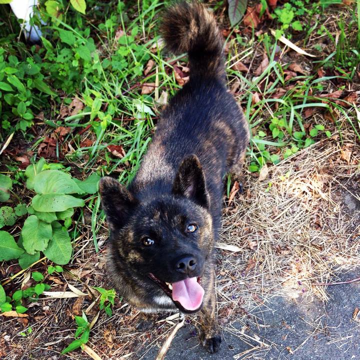 5ea30f26 c399 46bb 99c0 0a067737cf90