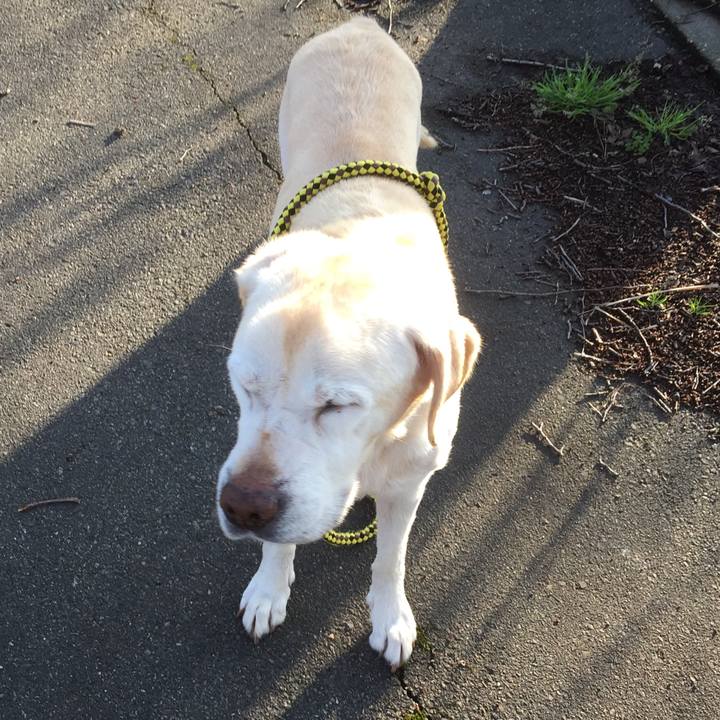 5ea39766 e62c 4523 9487 b5e95360b4f4