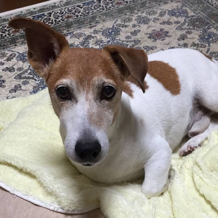 5ea3d4de 7190 46de b206 2116635c40ca