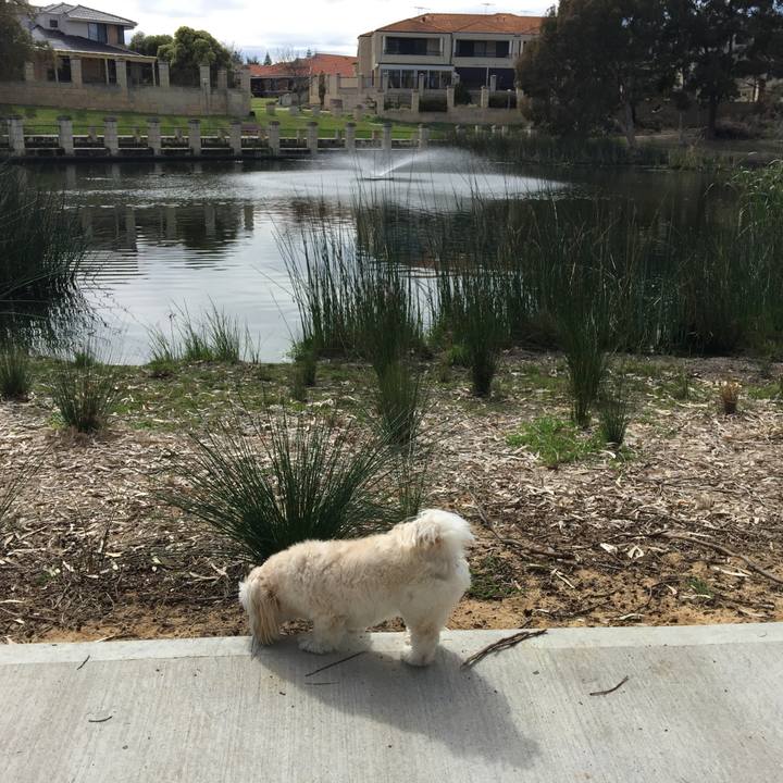 5ea3de2e 54e0 4c26 a54b 4842eb47e89c