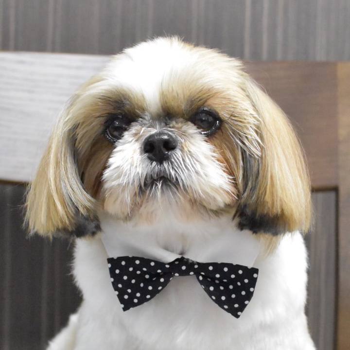 5ea3fe74 b07f 4307 a878 48902c277afe