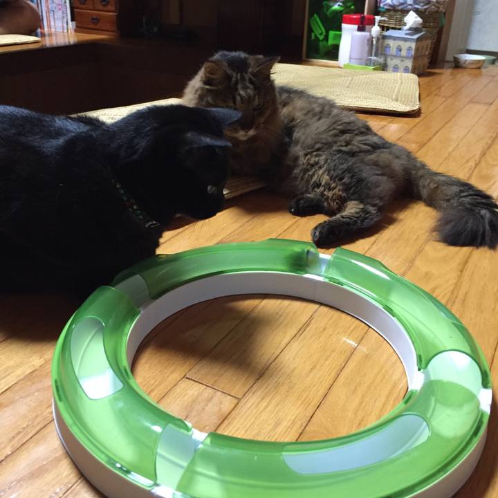 5ea42099 7017 479f 8979 9bb403b7b99a