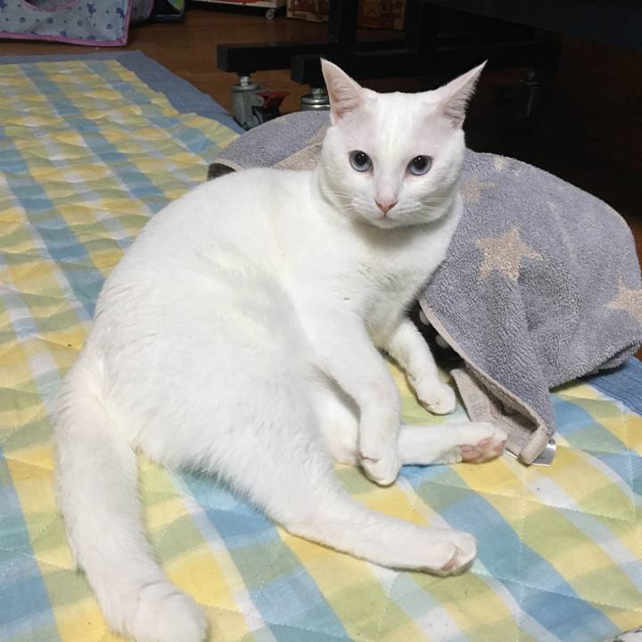 5ea4acdd ded4 41ad a64c 34d111b45cd8