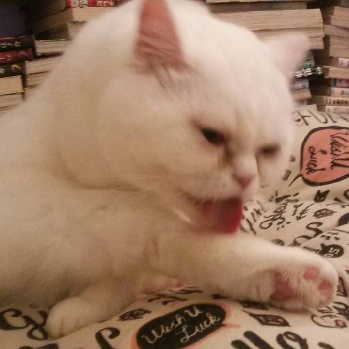 5ea51a76 11b8 4141 a22f 5c8ba8ed6888