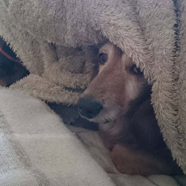 5ea57dc0 c120 47f6 99b3 73b19ace81ae