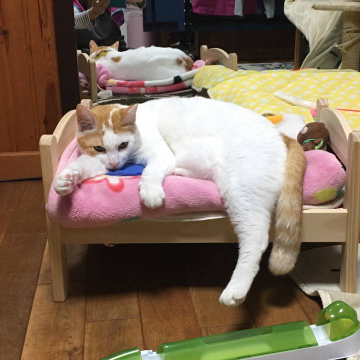 5ea5973c 966b 4294 83fa 9f7d51ca480a