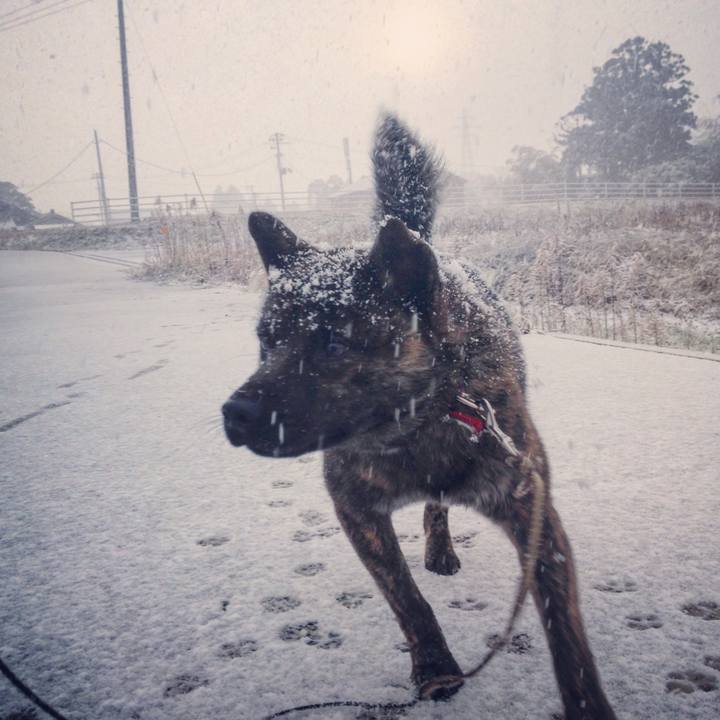 5ea5ac40 2fe3 43f1 adff 286a6ffbb0f5