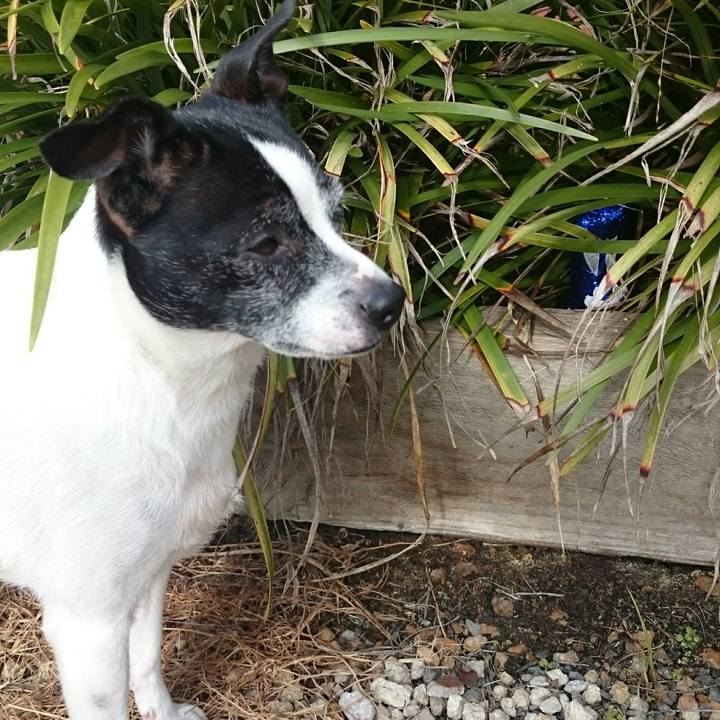 5ea5b2ca c0c8 423e 8b90 b0448ef85877