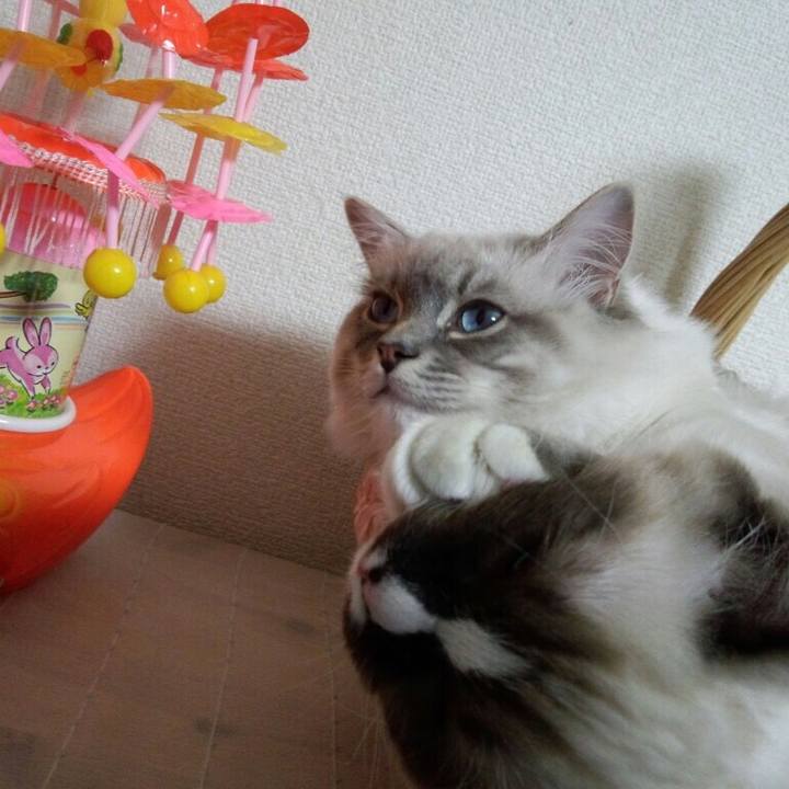 5ea5b83f 51b8 4027 8a46 8f67409877ac