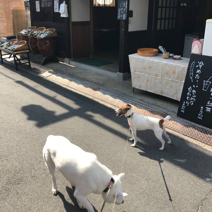 5ea5fd34 a5af 4cb9 b93f 4e61ccd3f92e