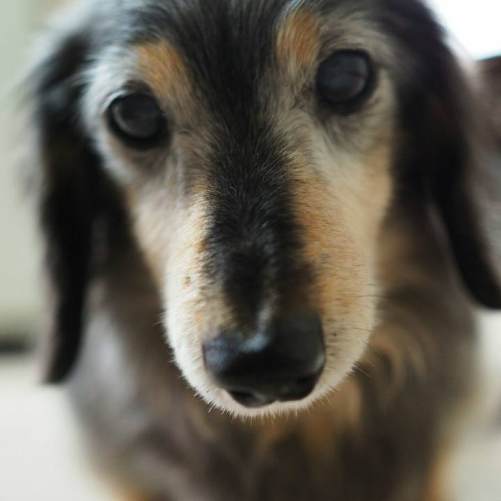 5ea6530b bdf5 4526 b066 130cff5efbaf