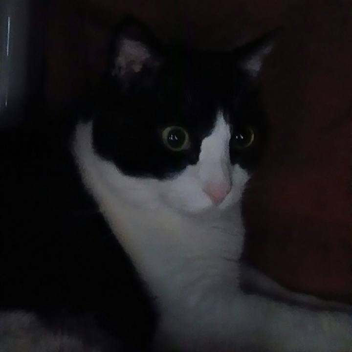 5ea76248 f199 4b09 8c17 989a0bc7fade