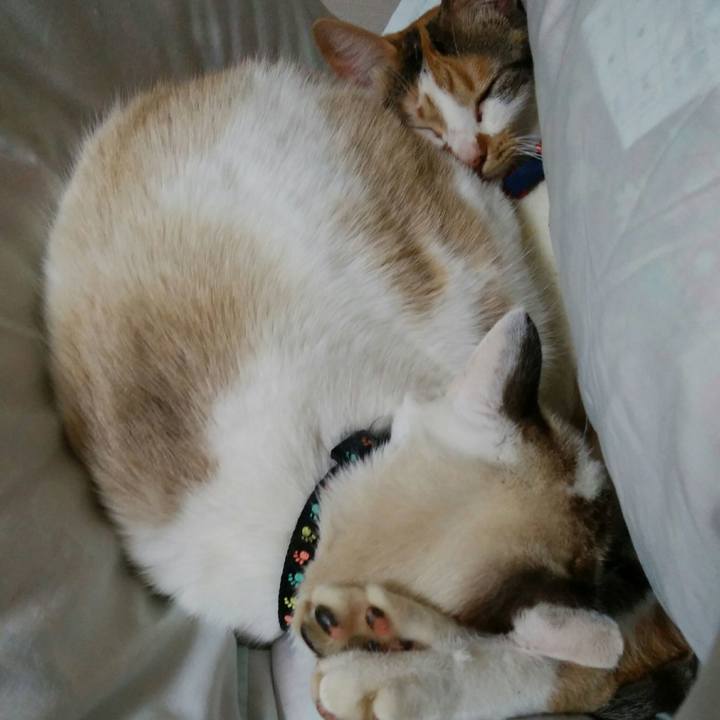 5ea84fab b9ce 4bf5 aa0d 001a210ea84d