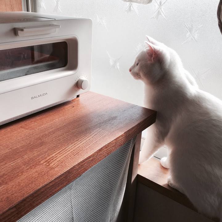 5ea89c77 01fa 4b26 b4e7 7978747db33d