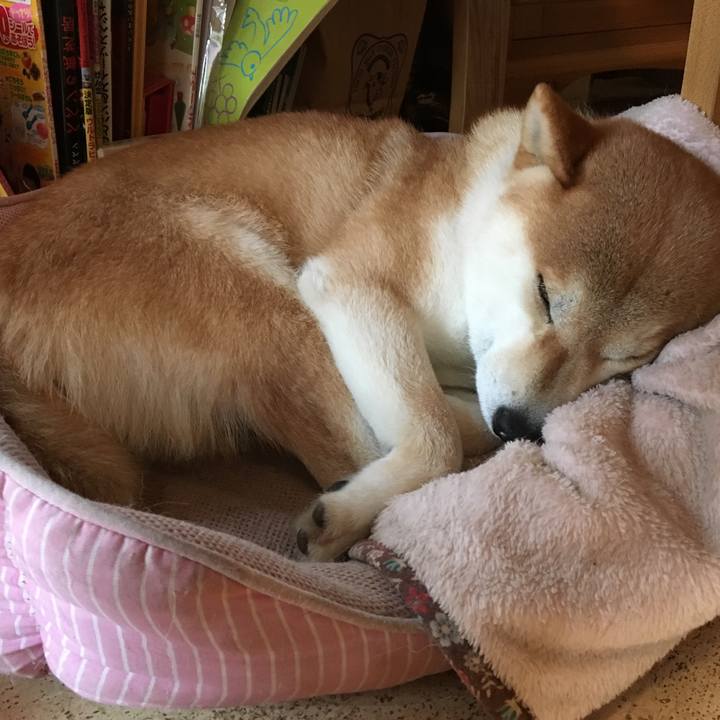 5ea8d0dc ee64 49d0 9212 31d38b327451