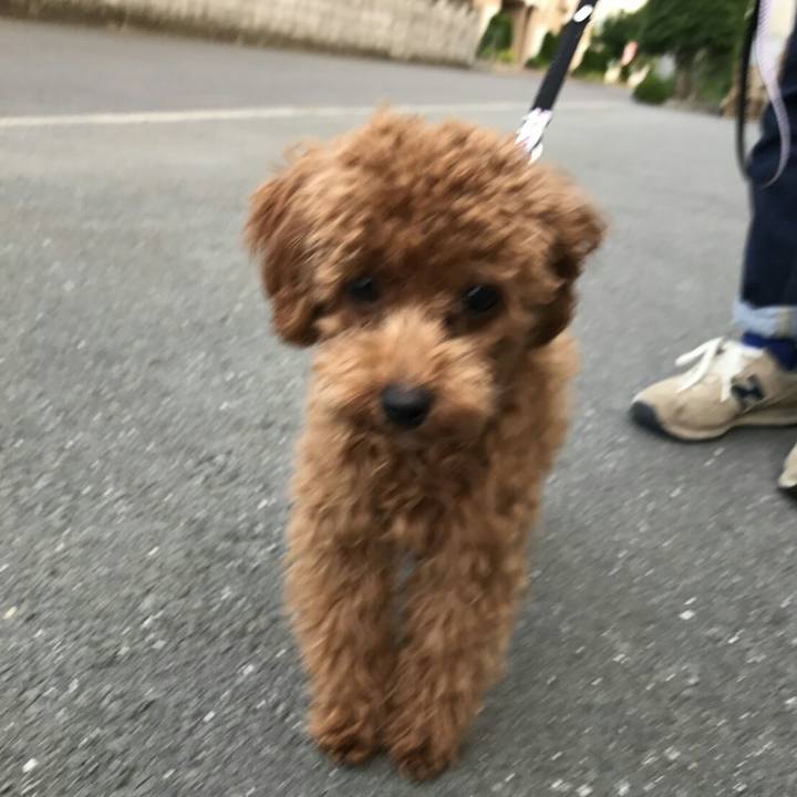 5ea9263b eb03 4d56 9eeb bef891b63342