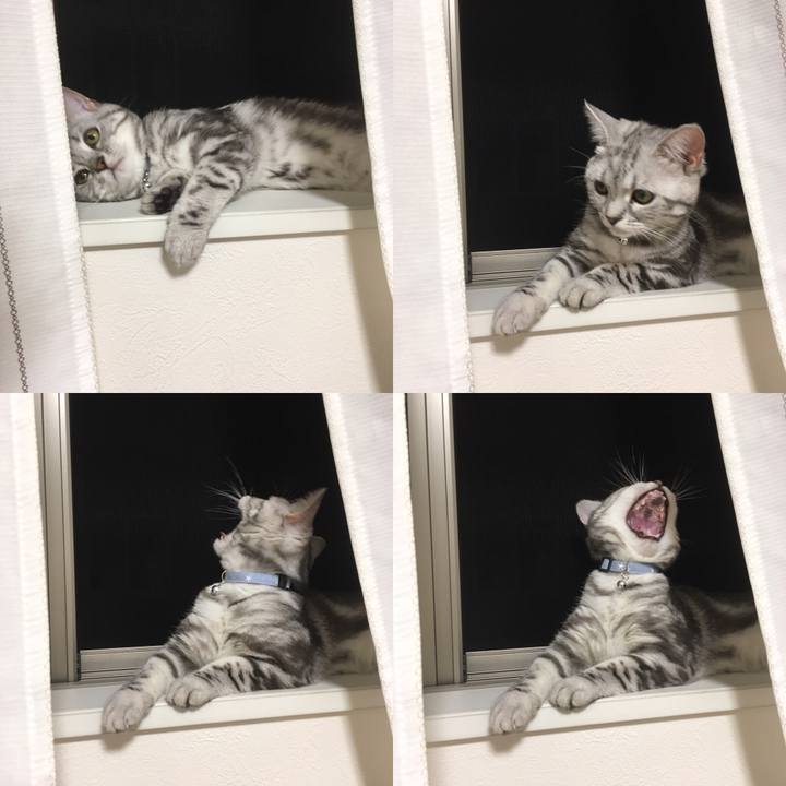 5eab46f7 3e19 4c11 b713 a32dabe0fc8f