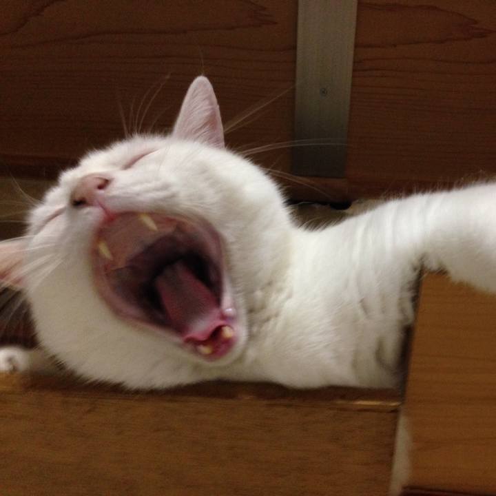 5eab8654 786b 4d95 bdac 749255203992