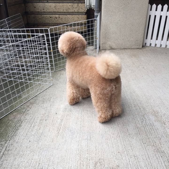 5ead8544 a9fa 43a2 aa48 55d2adb1551c