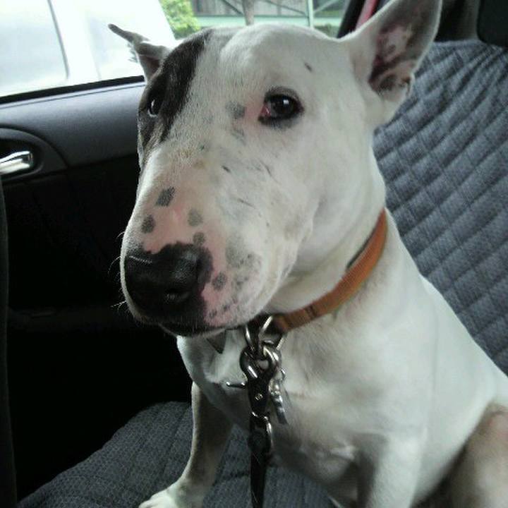 5eaf3426 3b95 413c 940a 513d0ea7a995