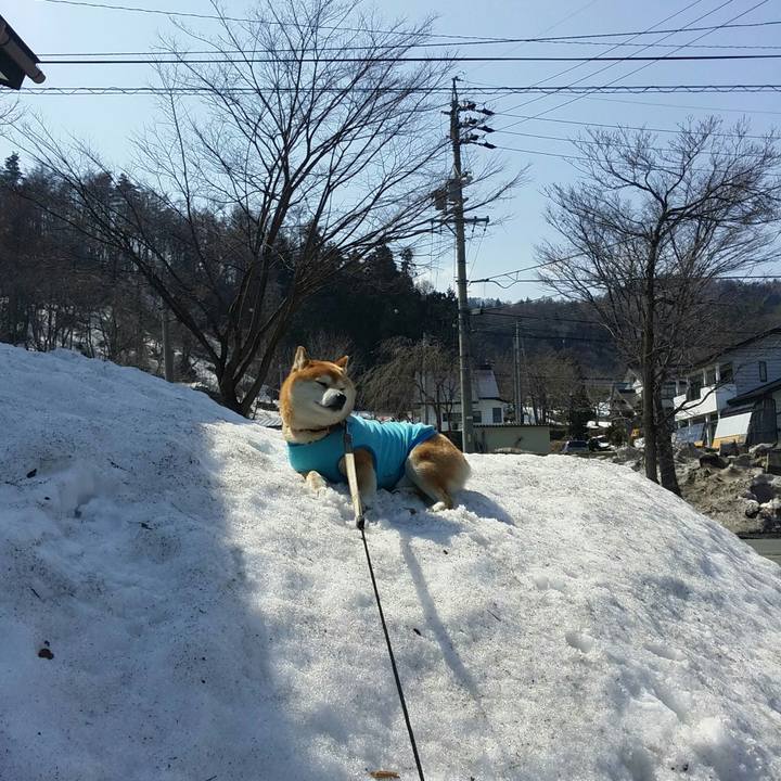 5eaf53a1 8284 4570 92ce a71e92d59394