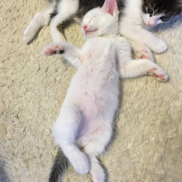 5eaf6a08 2d43 4dab 8c0a b79397dbd0ae