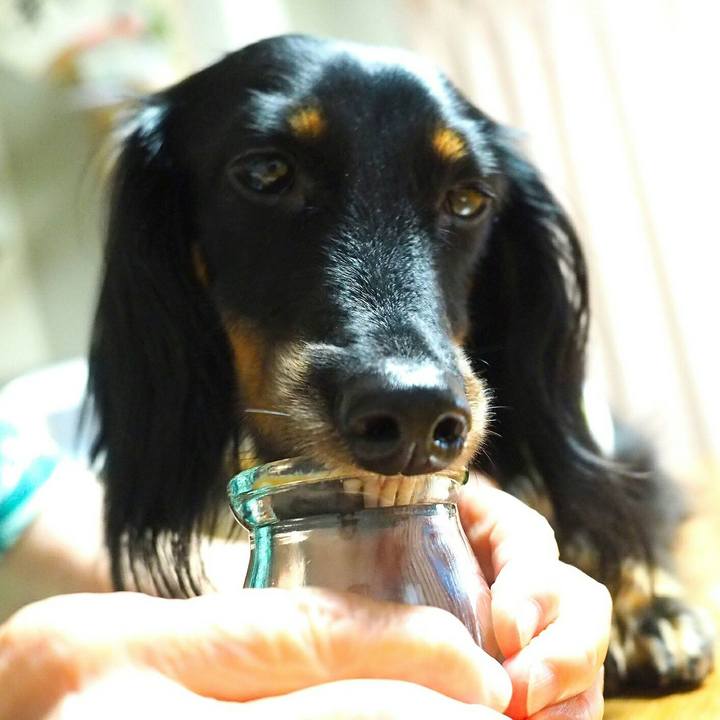 5eb05171 62da 4cf2 af62 fbd34820a04a