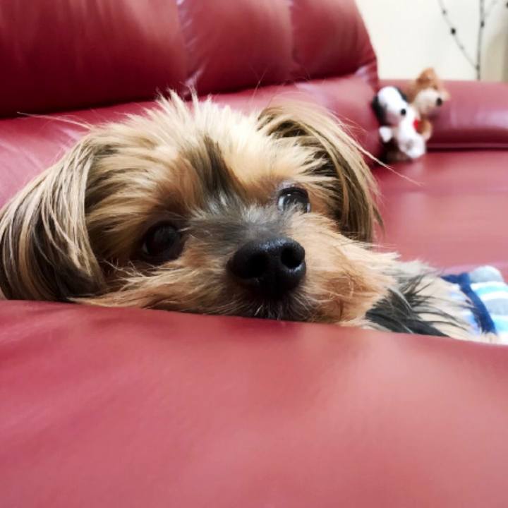 5eb092f4 ec30 4599 b1d6 36e5cdde840e