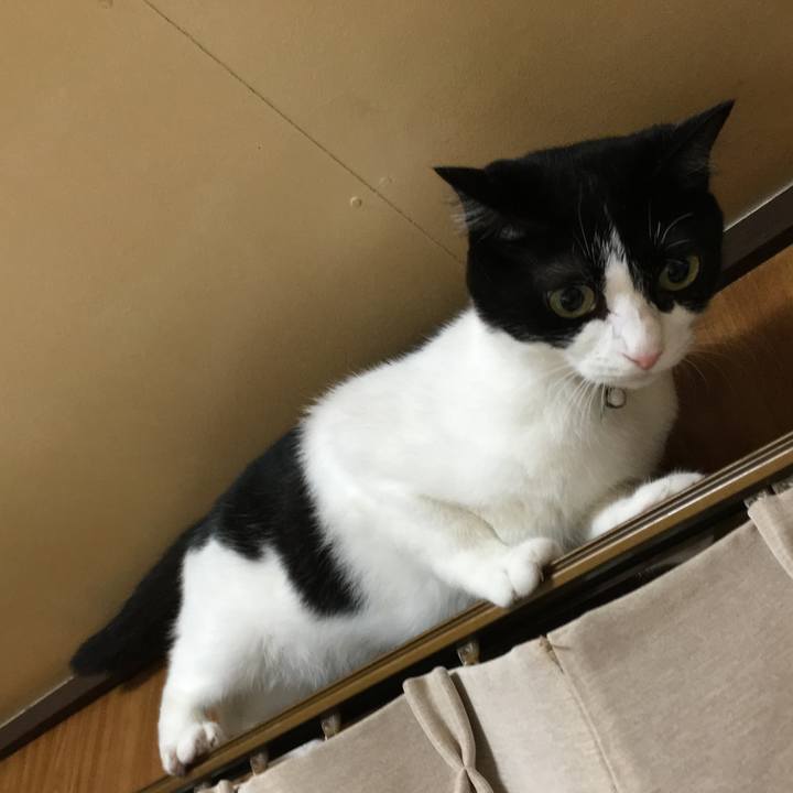 5eb0c044 2550 44ac 8b8f bb6da55818a2